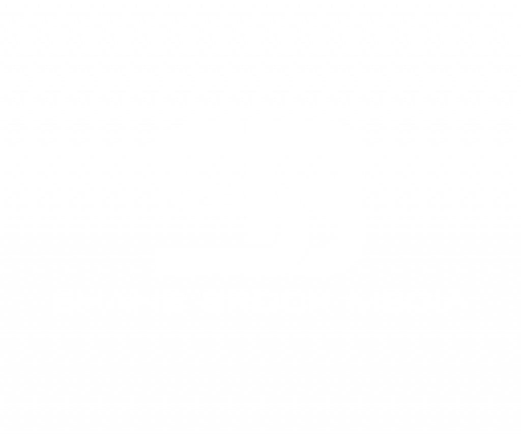 Shanebrook Media