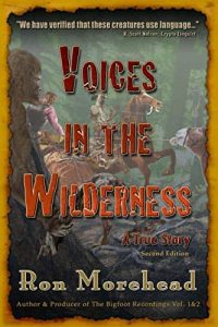 Cover Voices In The Wilderness